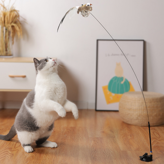 Bird interactive Cat Toy